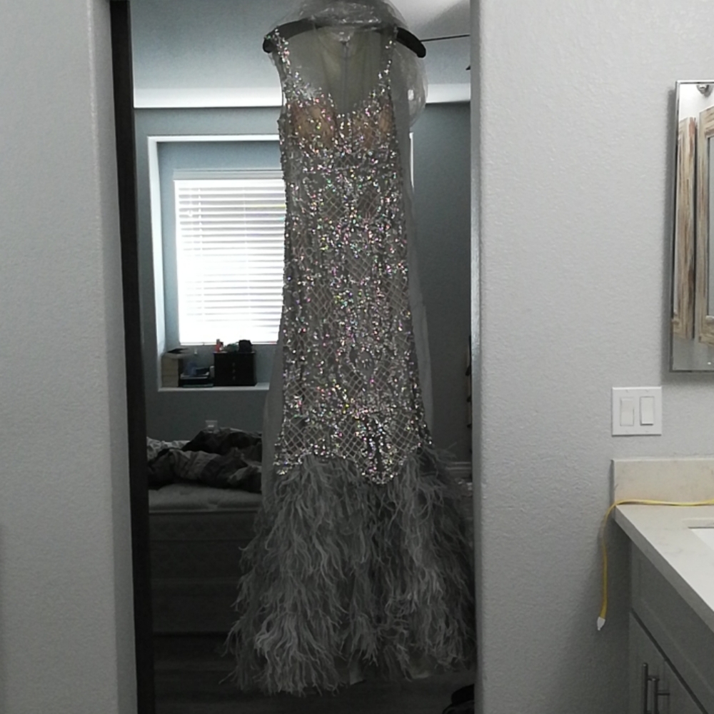 Silver Evening Gown